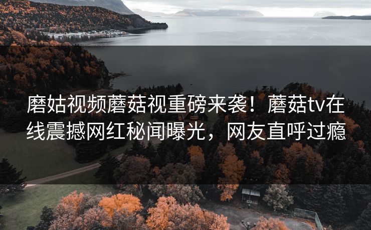 磨姑视频蘑菇视重磅来袭！蘑菇tv在线震撼网红秘闻曝光，网友直呼过瘾