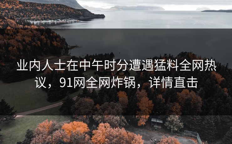 业内人士在中午时分遭遇猛料全网热议，91网全网炸锅，详情直击