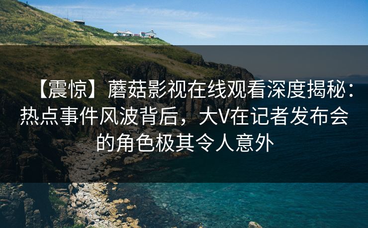 【震惊】蘑菇影视在线观看深度揭秘：热点事件风波背后，大V在记者发布会的角色极其令人意外