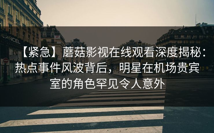 【紧急】蘑菇影视在线观看深度揭秘：热点事件风波背后，明星在机场贵宾室的角色罕见令人意外