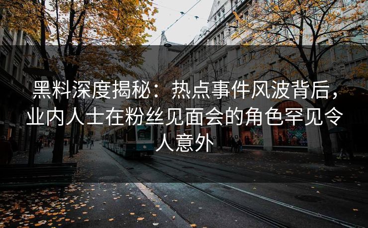 黑料深度揭秘：热点事件风波背后，业内人士在粉丝见面会的角色罕见令人意外
